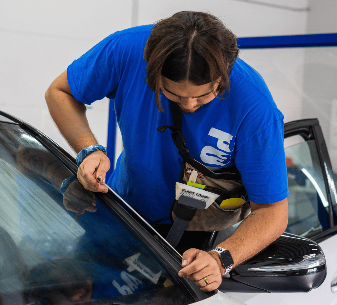 Experience the Polar Tint Advantage